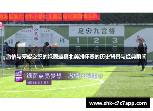 激情与荣耀交织的绿茵盛宴北美洲杯赛的历史背景与经典瞬间
